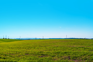 Green Field