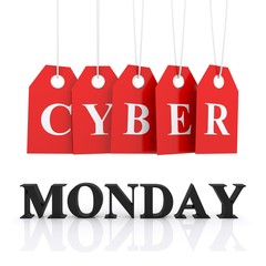 Cyber Monday discount