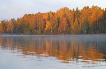 Fototapeta na wymiar Autumn forest on the lake at sunrise.