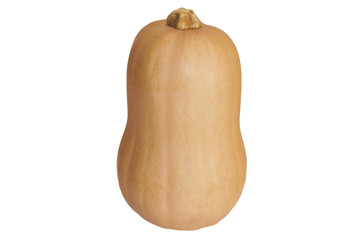  Butternut K&uuml;rbis isoliert auf wei&szlig;