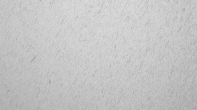 Snowfall