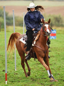 Barrel Racer