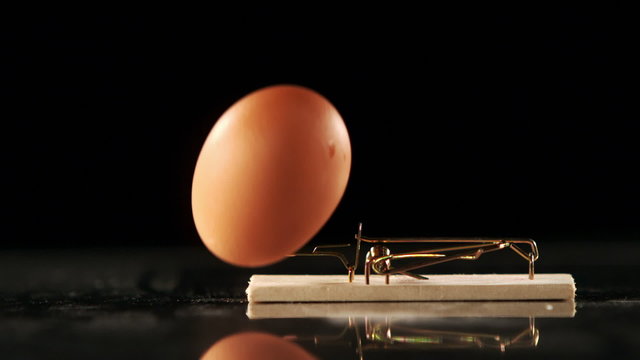 Mouse trap smashing an egg