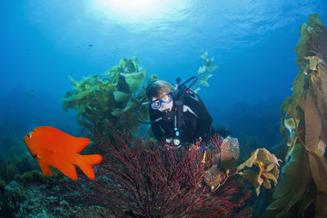 Scuba Diver and Gorgonian Coral © Ocean Image