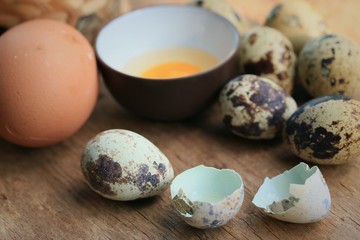 Quail eggs