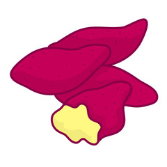 sweet potato isolated illustration