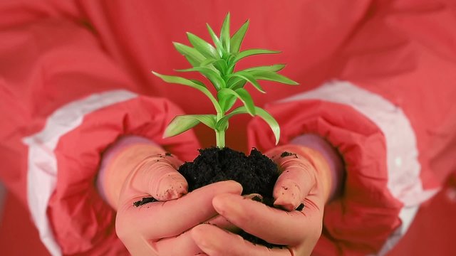 Man in red protective suit holding soil and a green young plant in hands