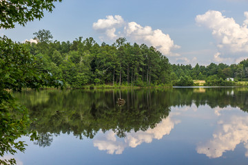 Pond with rective water