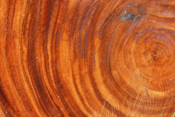 Fototapeta premium Beautiful surface pattern in the industry.