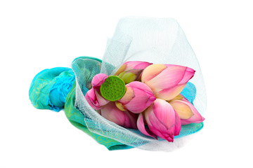 Flower arrangements with lotus on isolate white background.