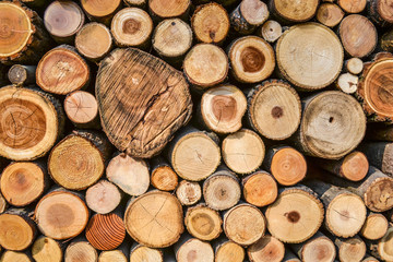 Fototapeta premium Firewood
