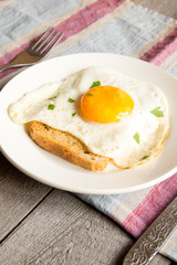 Fried egg on bread
