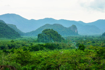 Forests and mountains.