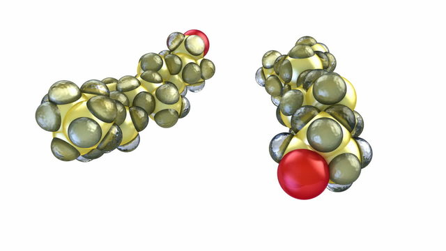 Molecule of cholesterol macro over white