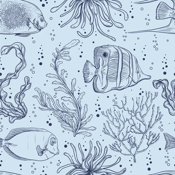 Seamless pattern with tropical fish, marine plants and seaweed. Vintage hand drawn vector illustration marine life. Design for summer beach, decorations,print,pattern fill, web surface background