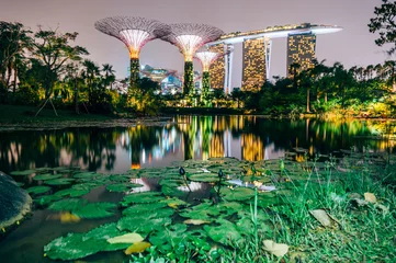 Acrylic prints Singapore Supertree grove at garden by the bay in singapore and view on Marina bay Sands