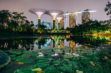 Naklejka premium Supertree Grove w ogrodzie nad zatoką w Singapurze i widok na Marina Bay Sands