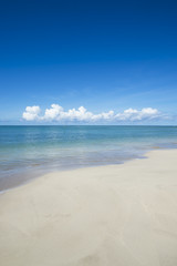 Fototapeta na wymiar Empty Tropical Dream Beach Bahia Brazil