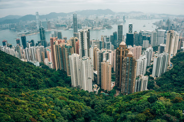 Fototapeta premium Hongkong Cityscape View from the Jardine's Lookout, Hong Kong, China