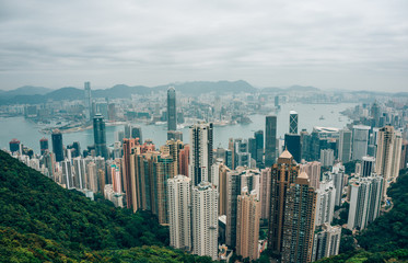 Obraz premium Hongkong Cityscape View from the Jardine's Lookout, Hong Kong, China