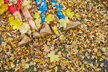 Lying on leaves