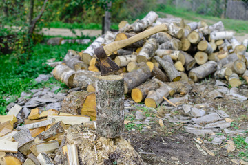 Firewood and old axe in the woods