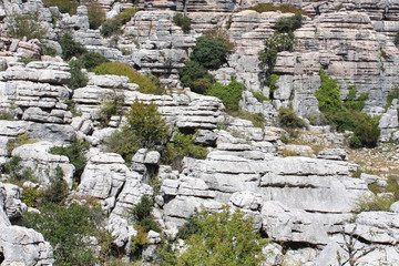 El Torcal de Antequera / Espagne (Andalousie,)