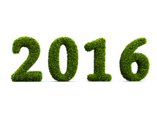 2016 new year grassed concept isolated on white background