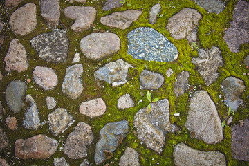 moss-grown paving stone