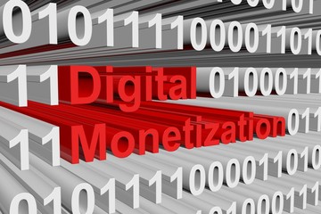 Digital Monetization is presented in the form of binary code