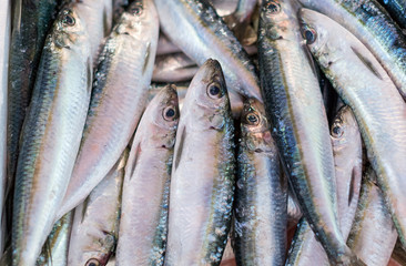 Obraz premium Plenty of fresh fish on the market.