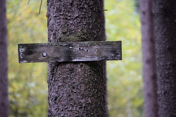 Verschwundene Botschaft, Verwittertes Holzschild am Fichtenstamm