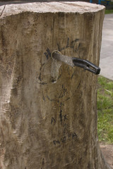 Knife in a tree stump