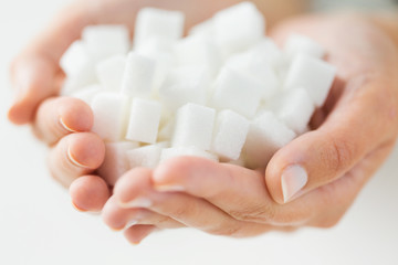 close up of white lump sugar in woman hands
