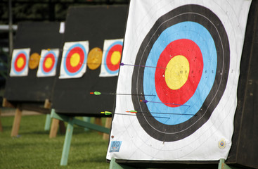 Arrows in a target