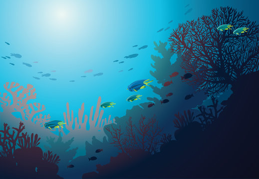 Coral reef and fish. Underwater sea.