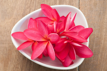 Red Plumeria Flower on the plate and wood floors.