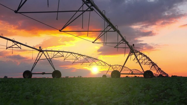Automated farming irrigation sprinklers system on cultivated agricultural landscape field in sunset