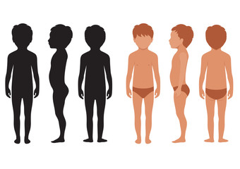 vector child body, human anatomy, kid vector illustration