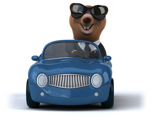 Fun bear