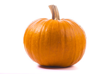 Pumpkin on white bacground