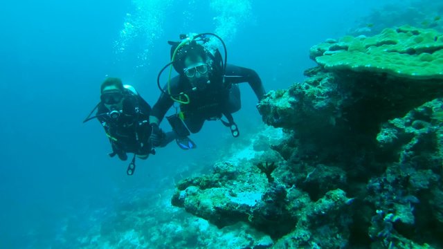 Scuba divers, man and woman swimming near coral reef, 

