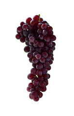 Grapes on a white background