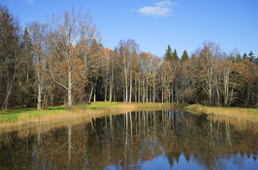 Осенний день на Большом пруду. Тригорское, Пушкинские горы