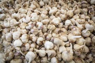 Venta de ajos a granel. Montón de ajos blancos.