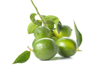 Green lemon,leaves on white background.