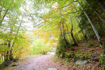 Fototapeta premium Ordesa