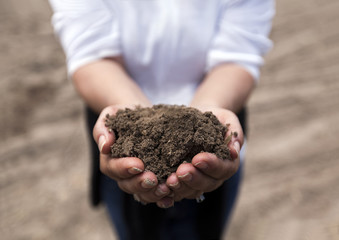 Brown rich soil on hands from agricultural area