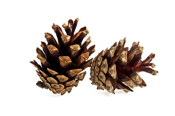 Cones on a white background