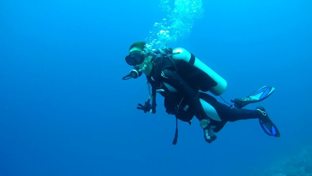Divers man and a woman floating in the water column 
